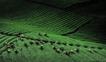 Bốn trụ cột thúc đẩy logistics thông minh, xanh cho TP. Hồ Chí Minh