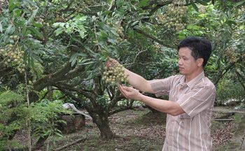 Định vị TP. Hồ Chí Minh trên hành trình bước vào kỷ nguyên mới