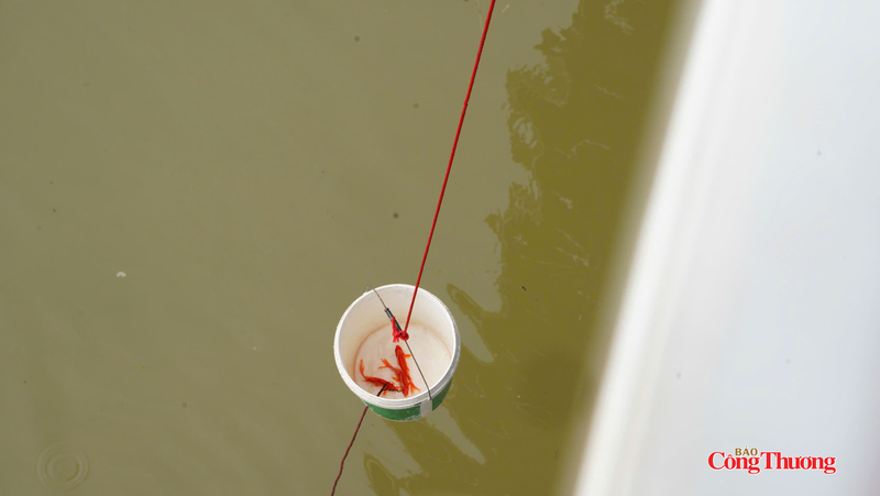 Người dân cho cá vào xô nhựa, thả dây xuống sát mặt nước để tránh cá bị chết.