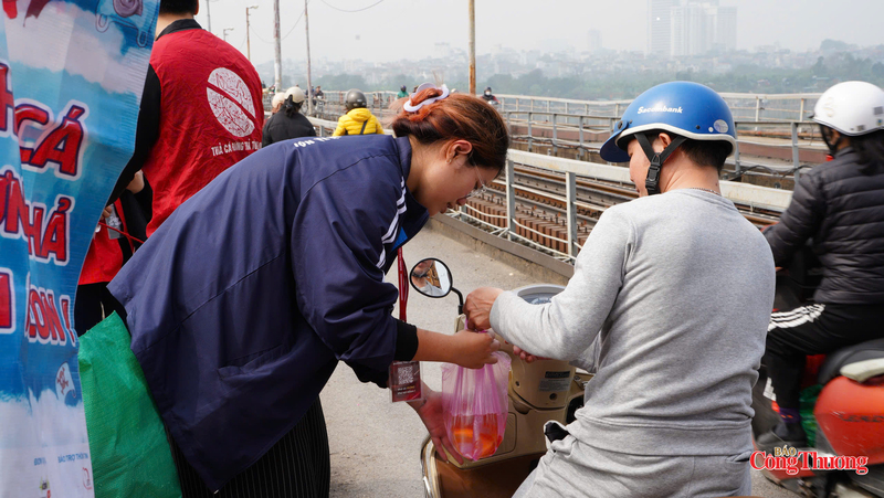 Cá chép được thả xuống sông Hồng với sự hỗ trợ của các tình nguyện viên tại cầu Long Biên.