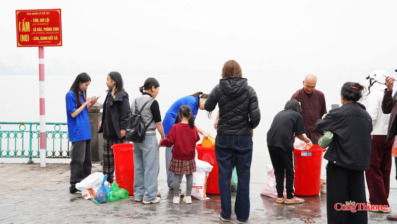 Cá chép được tập kết vào các thùng nhựa lớn trước khi vận chuyển đi thả phóng sinh.