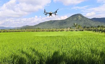 Gia Lai: Xuân ấm ở làng tái định cư Suối Cạn