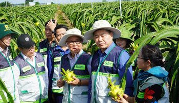 Đặc khu Phú Quý từ ‘viên ngọc thô’ thành điểm đến biển đảo đặc sắc