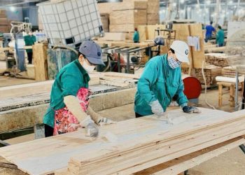 Gia Lai ‘chọn mặt gửi vàng’, kiến tạo lực lượng doanh nghiệp dẫn dắt