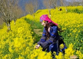 Chiêm ngưỡng những thiên đường hoa đẹp nhất dịp 8/3