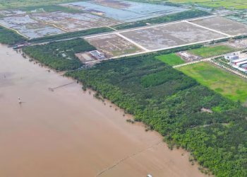 Đồng Tháp kiểm soát tốt hạn, mặn, bảo đảm nước sinh hoạt và sản xuất