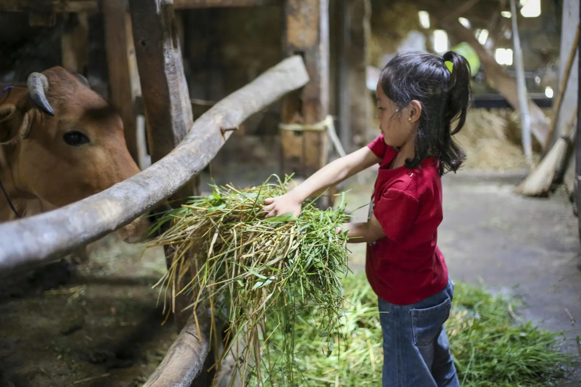 654479340_326824280000110