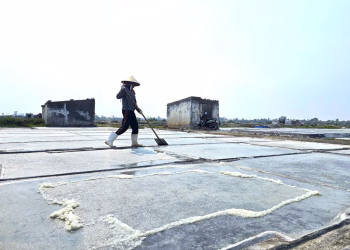 Diêm dân xứ Nghệ lặng lẽ “cướp nắng” mưu sinh