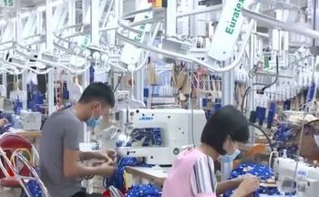 Nhiệt điện Hải Phòng: Giải bài toán cung ứng điện và bảo vệ môi trường