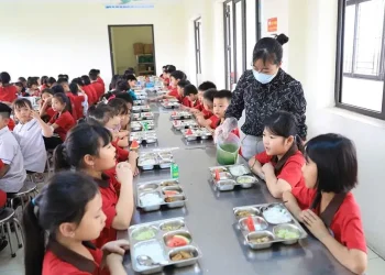 Học sinh, trẻ em ăn phải lợn dịch tả châu Phi có nguy hiểm không?