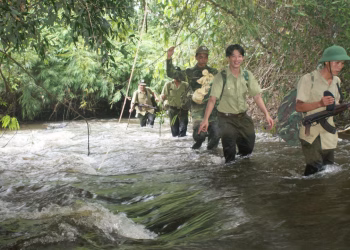 ‘Cuộc chiến’ bảo vệ rừng ươi ở Đồng Nai