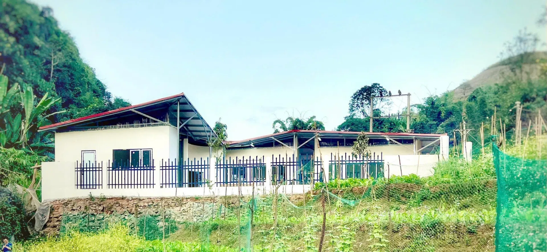 Diem-Truong-Hang-Lia-22