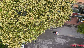 Lai Châu xúc tiến du lịch, mở rộng liên kết thu hút đầu tư