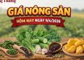 Giá nông sản hôm nay 9/4: Giá tiêu xuất khẩu tăng; mít thái biến động mạnh