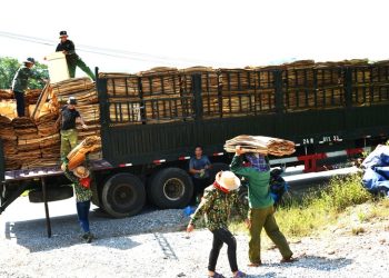 Phát triển kinh tế biên mậu ở Tuyên Quang – Bài 3: Mở lối cho hàng Việt