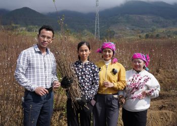 Bài học xây dựng mô hình ‘xã thương mại điện tử’ nhìn từ Lai Châu