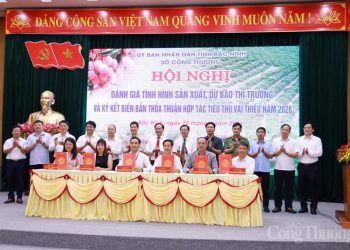 Định vị vải thiều Bắc Ninh thành sản phẩm phân khúc cao cấp