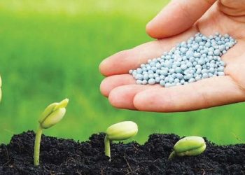 Doanh nghiệp phân bón chủ động giữ ổn định thị trường