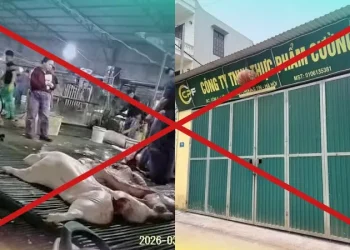 Lỗ hổng từ đầu vào: Vì sao thực phẩm kém chất lượng vẫn lọt vào trường học?