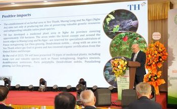 Điện mặt trời thế hệ mới mở hướng phát triển năng lượng hiệu quả