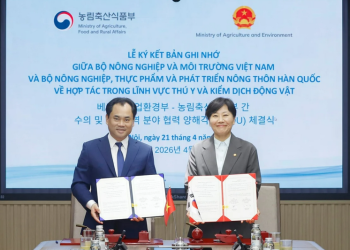 Việt Nam – Hàn Quốc thống nhất mở cửa thị trường với sản phẩm thịt gà chế biến