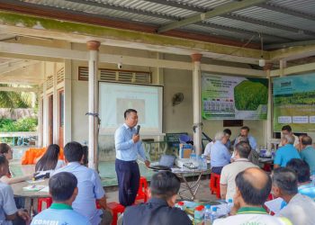 Mô hình lúa giảm phát thải tại Hợp tác xã Tấn Đạt cho hiệu quả cao