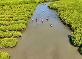 Quảng Ngãi: Đánh thức tiềm năng du lịch sinh thái Bàu Cá Cái