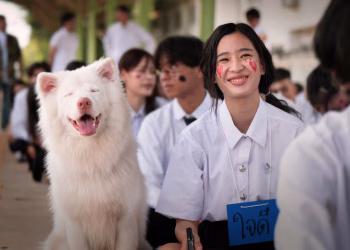 Bộ phim đang giữ top 1 phòng vé Việt