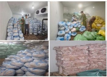 Thanh Hóa: Phát hiện hơn 14 tấn bì lợn nghi không rõ nguồn gốc