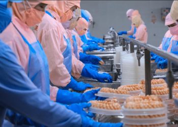 Hoa Kỳ kết luận sơ bộ chống bán phá giá tôm Việt Nam