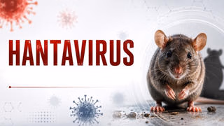 Hà Lan cách ly 12 nhân viên y tế vì virus Hanta