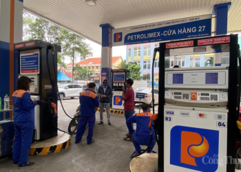 Petrolimex ‘phủ’ sớm xăng sinh học E10 trên toàn hệ thống