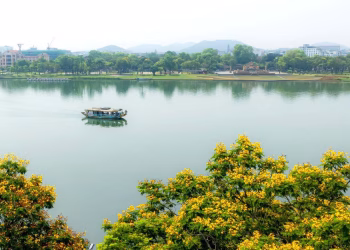 Tuần lễ Âm nhạc Quốc tế Huế 2026: Vũ điệu đa sắc màu bên dòng sông Hương