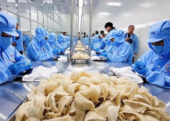 Tổ yến thuộc nhóm rủi ro cao, không được gia hạn tự động mã đăng ký vào Trung Quốc