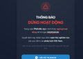 Nhiều website phim và game lậu dừng hoạt động sau Công điện 38/CĐ-TTg