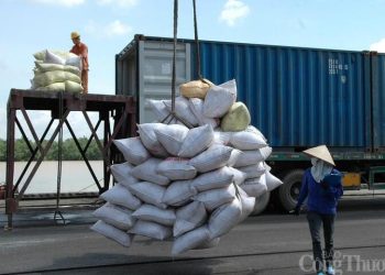 Cục Xuất nhập khẩu cập nhật thông tin về Lệnh 280 của Trung Quốc