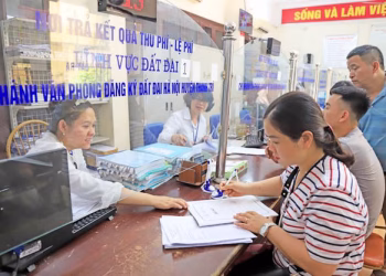 Rà soát thủ tục đất đai để giảm giấy tờ khi làm trực tuyến