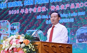 Thành phố Huế: Tăng cường đấu tranh xâm phạm quyền sở hữu trí tuệ