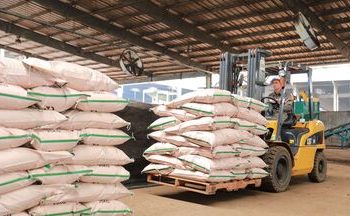 VEAM thông tin về đấu giá 141 xe tồn kho, quyết tâm thu hồi vốn hiệu quả