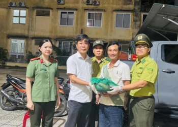 Người dân tự nguyện giao nộp cá thể tê tê Java quý hiếm