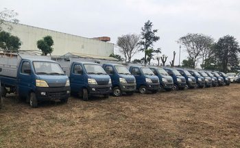 Vải Thanh Hà lên kệ tại hơn 800 điểm bán Saigon Co.op toàn quốc dịp hè