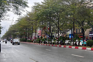 Thời tiết ngày 3/7: Ảnh hưởng bão, Bắc Bộ mưa dông