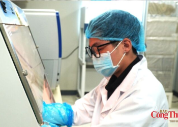 Giám định ADN và hành trình trả lại tên cho các liệt sĩ
