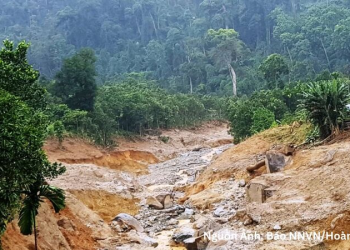 Chủ động ứng phó mưa lớn, gió mạnh trên biển ở Trung Bộ và Nam Bộ