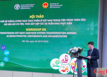 Việt Nam thúc đẩy hệ thống lương thực thực phẩm bền vững