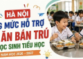 Hà Nội hỗ trợ bữa ăn bán trú cho học sinh tiểu học, mức cao nhất 40.000 đồng/ngày