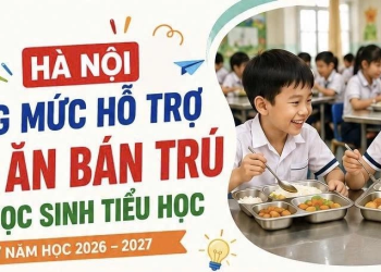 Hà Nội hỗ trợ bữa ăn bán trú cho học sinh tiểu học, mức cao nhất 40.000 đồng/ngày