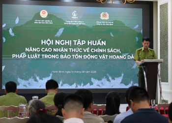 Tăng cường truyền thông pháp luật để người dân chung tay bảo tồn động vật hoang dã