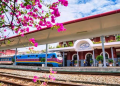 Tàu Di sản Huế – Phong Nha giảm 50% giá vé trong tuần lễ khai trương