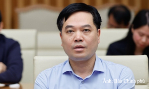 Bổ nhiệm Trợ lý Phó Thủ tướng Chính phủ Hồ Quốc Dũng